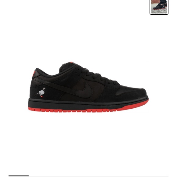 Meet your Posher, Milo - Picture 1 of 1